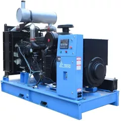 Дизельный генератор ТСС АД-200С-Т400-1РМ5 с АВР