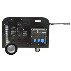 Бензиновый генератор ТСС SGG 10000 EH