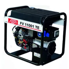 Бензиновый генератор Fogo FV11001TE в контейнере
