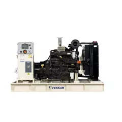 Дизельный генератор Teksan TJ220DW5C в контейнере с АВР