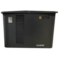 Газовый генератор CTG CG18000SA