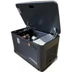 Газовый генератор CTG CG10000SA с АВР