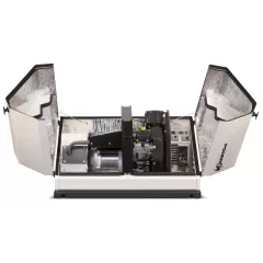 Газовый генератор POWERON GGC11500