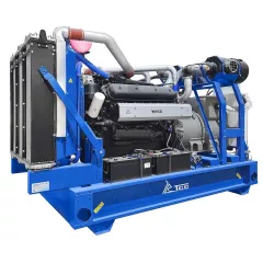 Дизельный генератор ТСС АД-300С-Т400-1РМ2 в контейнере