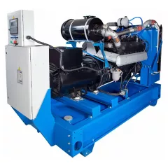 Дизельный генератор ТСС АД-250С-Т400-1РМ2 в контейнере с АВР