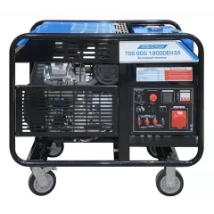 Бензиновый генератор ТСС SGG 18000EH3A в контейнере