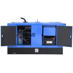 Сварочный генератор ТСС DUAL DGW 28/600EDS-A