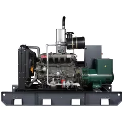 Газовый генератор Gazvolt 50T21 с АВР