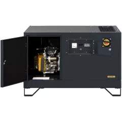 Газовый генератор Gazvolt Standard 12000 Neva 01