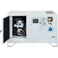 Газовый генератор Gazvolt Standard 6250 T Neva 01 с АВР