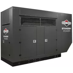 Газовый генератор Briggs & Stratton G1500