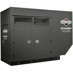 Газовый генератор Briggs & Stratton G1000