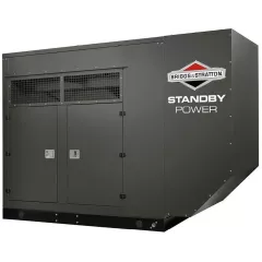 Газовый генератор Briggs & Stratton G800