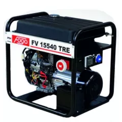 Бензиновый генератор Fogo FV15540TRE в контейнере