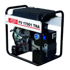 Бензиновый генератор Fogo FV17001TRA в контейнере