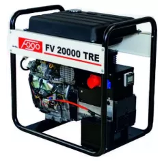 Бензиновый генератор Fogo FV20000TRE в контейнере
