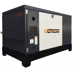 Газовый генератор Genese Standard 12000 Neva в кожухе