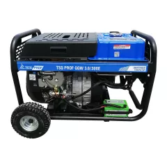 Сварочный генератор ТСС PROF GGW 3.0/300E