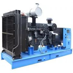 Дизельный генератор ТСС АД-250С-Т400-1РМ5