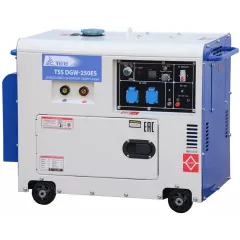 Сварочный генератор ТСС DGW-250E