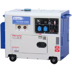 Сварочный генератор ТСС DGW-250ES