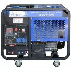 Сварочный генератор ТСС DGW-300E
